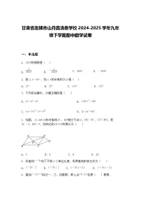 甘肃省张掖市山丹县清泉学校2024-2025学年九年级下学期期中数学试卷（含答案解析）