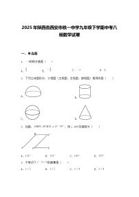 2025年陕西省西安市铁一中学九年级下学期中考八模数学试卷（含答案解析）