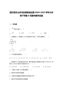 四川省乐山市马边彝族自治县2024-2025学年九年级下学期4月期中数学试题（含答案解析）