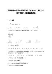 四川省乐山市马边彝族自治县2024-2025学年九年级下学期4月期中数学试题(含答案解析)