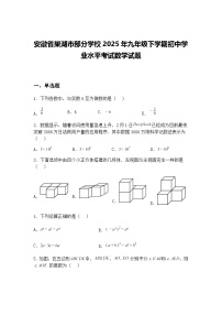 安徽省巢湖市部分学校2025年九年级下学期初中学业水平考试数学试题（含答案解析）
