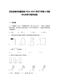 河北省廊坊市固安县2024-2025学年下学期4月期中九年级下数学试题（含答案解析）