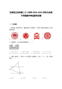 甘肃省兰州市第二十二中学2024-2025学年九年级下学期期中考试数学试卷（含答案解析）