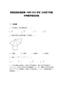 陕西省西安高新第一中学2025学年 九年级下学期中考数学模拟训练（含答案解析）