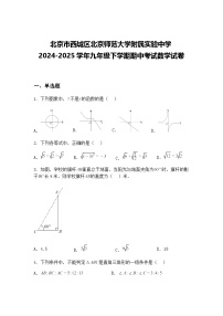 北京市西城区北京师范大学附属实验中学2024-2025学年九年级下学期期中考试数学试卷（含答案解析）