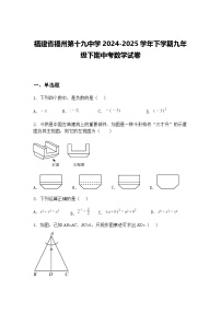 福建省福州第十九中学2024-2025学年下学期九年级下期中考数学试卷（含答案解析）