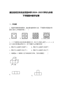 湖北省武汉市光谷实验中学2024~2025学年九年级下学期期中数学试卷（含答案解析）