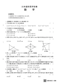 山东省枣庄市滕州市滕州市育才中学2025-2026学年九年级上学期10月月考数学试题