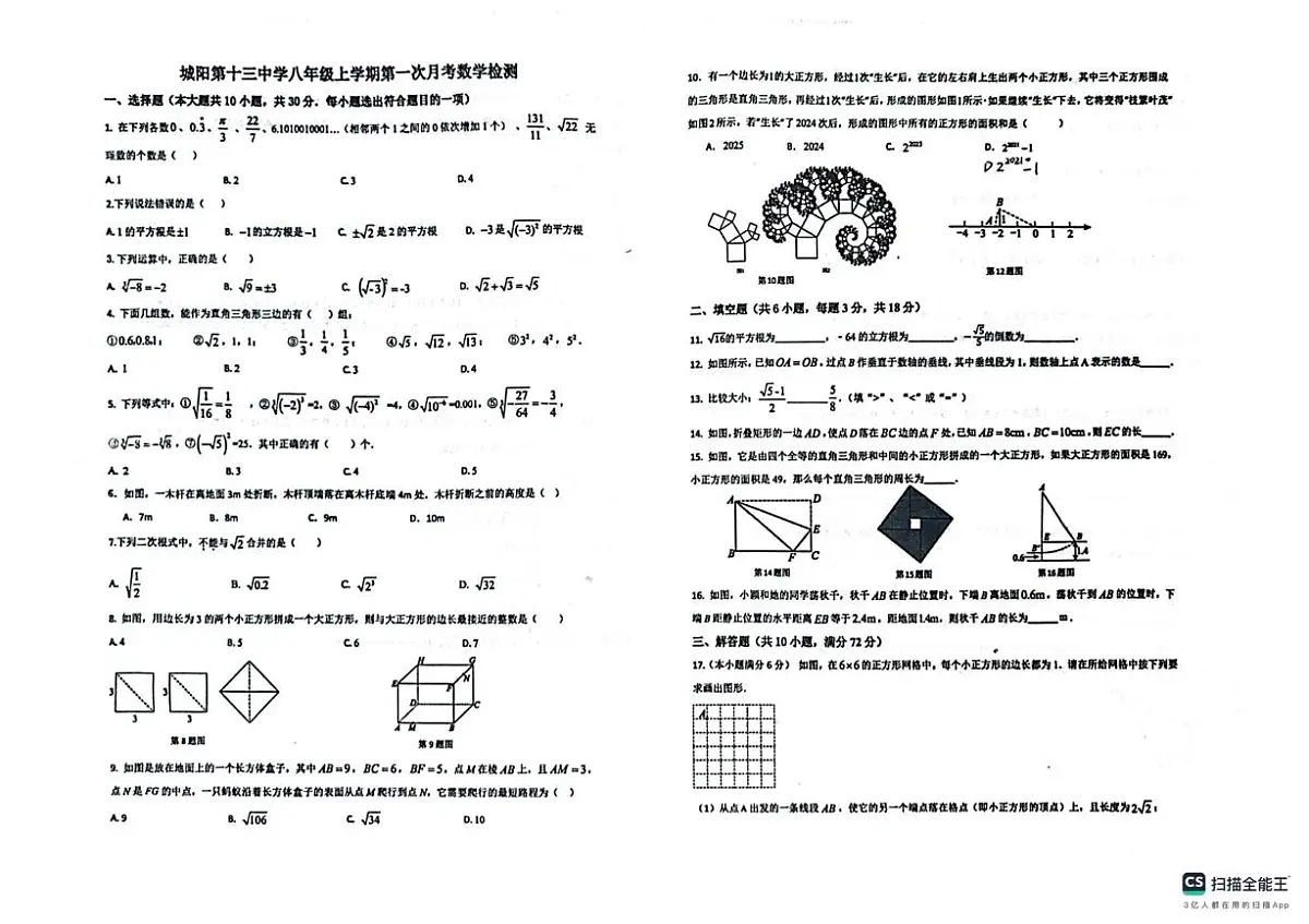 山东省青岛市城阳第十三中学2025-2026学年八年级上学期10月月考数学试题第1页