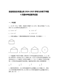 安徽省安庆市潜山市2024-2025学年九年级下学期4月期中考试数学试题（含答案解析）