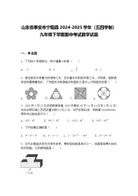 山东省泰安市宁阳县2024-2025学年（五四学制）九年级下学期期中考试数学试题（含答案解析）
