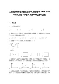江西省抚州市金溪县实验中学、锦绣中学2024-2025学年九年级下学期4月期中考试数学试题（含答案解析）