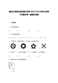 黑龙江省哈尔滨市萧红中学2024-2025学年九年级下学期中考一模数学试卷（含答案解析）