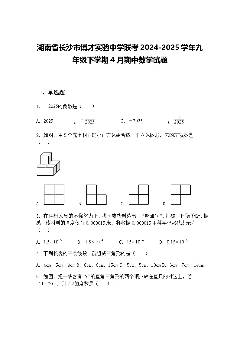 湖南省长沙市博才实验中学联考2024-2025学年九年级下学期4月期中数学试题(含答案解析)第1页