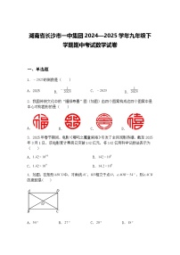 湖南省长沙市一中集团2024—2025学年九年级下学期期中考试数学试卷（含答案解析）