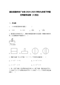 湖北省随州市广水市2024-2025学年九年级下学期月考数学试卷（3月份）（含答案解析）