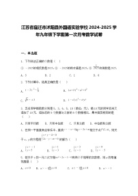 江苏省宿迁市沭阳县外国语实验学校2024-2025学年九年级下学期第一次月考数学试卷（含答案解析）