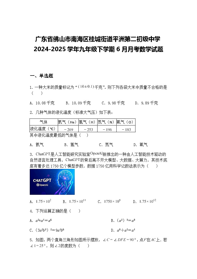 广东省佛山市南海区桂城街道平洲第二初级中学2024-2025学年九年级下学期6月月考数学试题(含答案解析)第1页