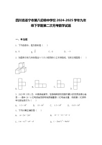 四川省遂宁市第八初级中学校2024-2025学年九年级下学期第二次月考数学试题（含答案解析）