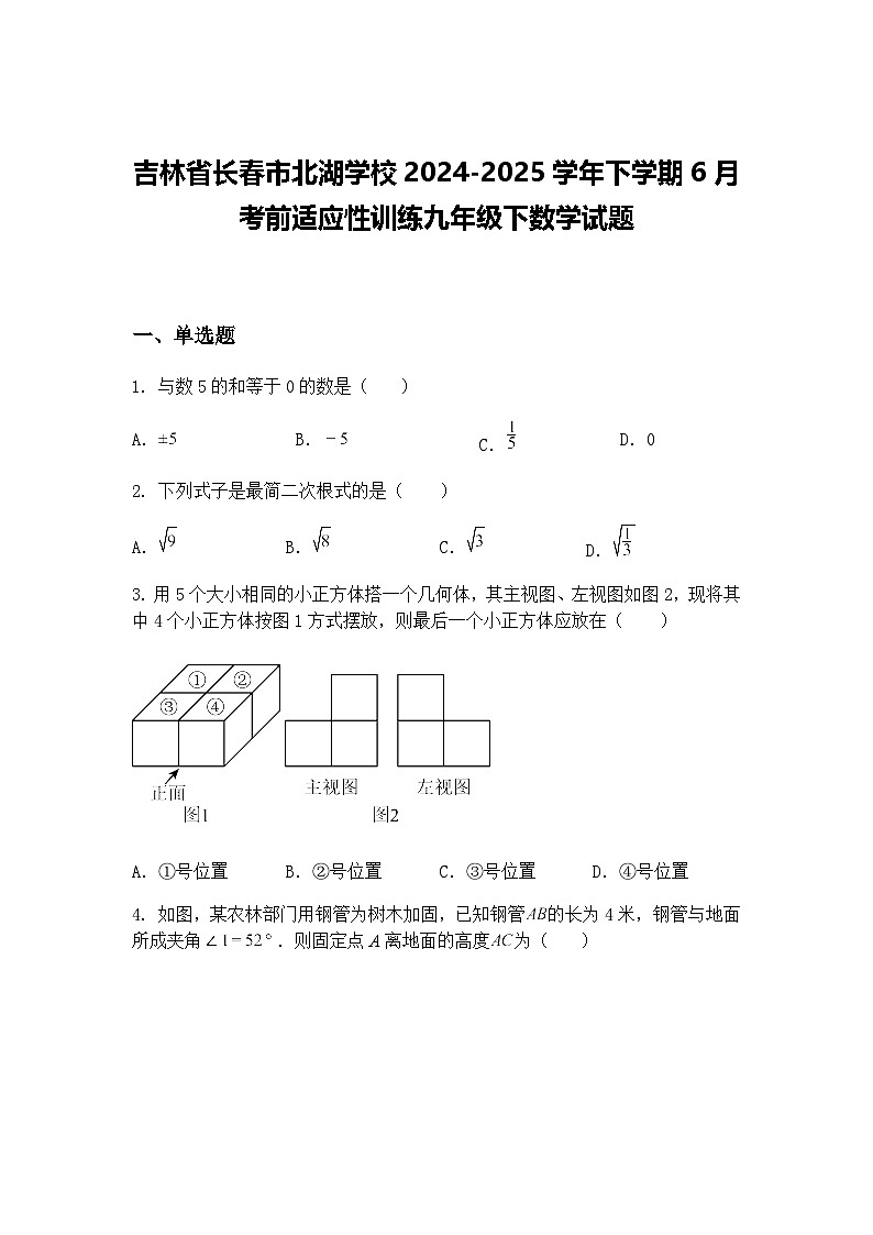吉林省长春市北湖学校2024-2025学年下学期6月考前适应性训练九年级下数学试题(含答案解析)第1页