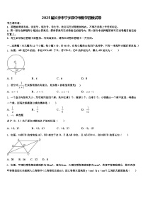 2025届长沙市宁乡县中考数学四模试卷含解析