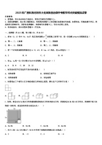 2025年广西壮族河池市大化瑶族自治县中考数学对点突破模拟试卷含解析