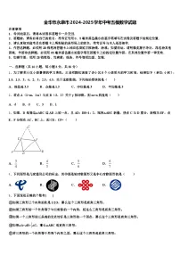 金华市永康市2024-2025学年中考五模数学试题含解析