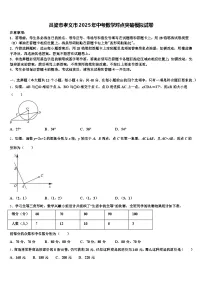 吕梁市孝义市2025年中考数学对点突破模拟试卷含解析