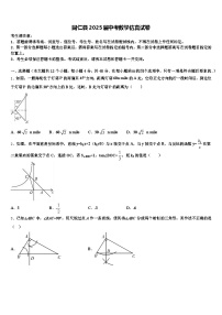同仁县2025届中考数学仿真试卷含解析