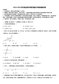 2024-2025学年通山县中考数学最后冲刺浓缩精华卷含解析