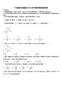 广东省韶关市南雄市2025年中考数学模拟预测试卷含解析