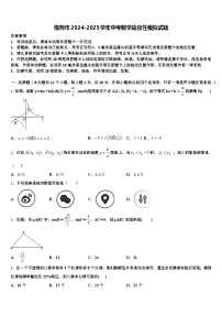 偃师市2024-2025学年中考数学适应性模拟试题含解析