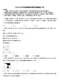 2024-2025学年黎城县中考数学考前最后一卷含解析