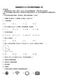 河南省漯河市2025年中考数学考前最后一卷含解析