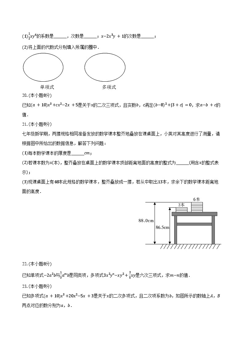 4.1整式 冀教版(2024)初中数学七年级上册同步练习(含详细答案解析)第3页