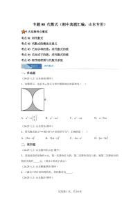 专题08代数式（期中真题 山东专用）七年级数学上学期北师大版2024【含答案】