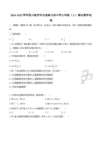 2024-2025学年四川省泸州市老窖天府中学七年级（上）期末数学试卷-自定义类型