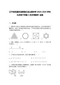 辽宁省抚顺市清原县红透山镇中学2024-2025学年九年级下学期3月月考数学 试题（含答案解析）