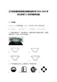 辽宁省抚顺市新宾县永陵镇白家中学2024-2025学年九年级下3月月考数学试题(含答案解析)