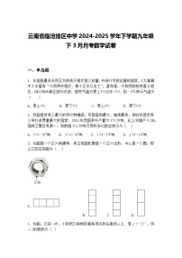云南省临沧地区中学2024-2025学年下学期九年级下3月月考数学试卷（含答案解析）