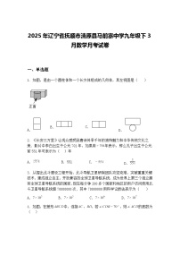 2025年辽宁省抚顺市清原县马前寨中学九年级下3月数学月考试卷（含答案解析）