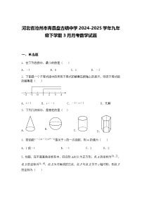河北省沧州市青县盘古镇中学2024-2025学年九年级下学期3月月考数学试题（含答案解析）