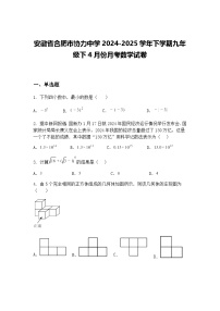 安徽省合肥市协力中学2024-2025学年下学期九年级下4月份月考数学试卷（含答案解析）