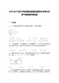 2025年4月辽宁省抚顺市新宾县北四平乡中学九年级下模拟数学测试题（含答案解析）