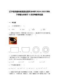 辽宁省抚顺市新宾县北四平乡中学2024-2025学年下学期九年级下3月月考数学试题（含答案解析）