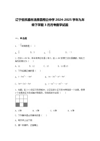 辽宁省抚顺市清原县翔云中学2024-2025学年九年级下学期3月月考数学试题(含答案解析)