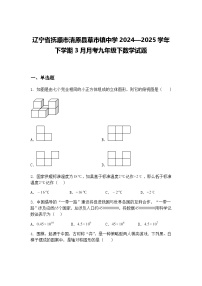 辽宁省抚顺市清原县草市镇中学2024—2025学年下学期3月月考九年级下数学试题(含答案解析)