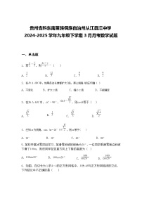 贵州省黔东南苗族侗族自治州从江县江中学2024-2025学年九年级下学期3月月考数学试题(含答案解析)
