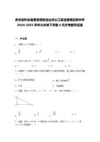 贵州省黔东南苗族侗族自治州从江县洛香镇初级中学2024-2025学年九年级下学期4月月考数学试题（含答案解析）
