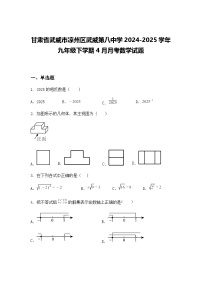 甘肃省武威市凉州区武威第八中学2024-2025学年九年级下学期4月月考数学试题（含答案解析）